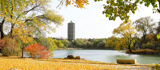 北京大学