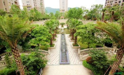 杭州：依法必须招标的市本级园林绿化养护项目均应至少提前30天公布