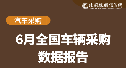 6月车辆采购数据