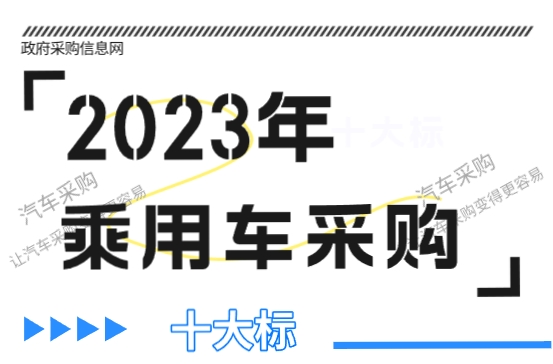 乘用车采购十大标缩略图