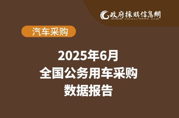 6月公务用车数据.png